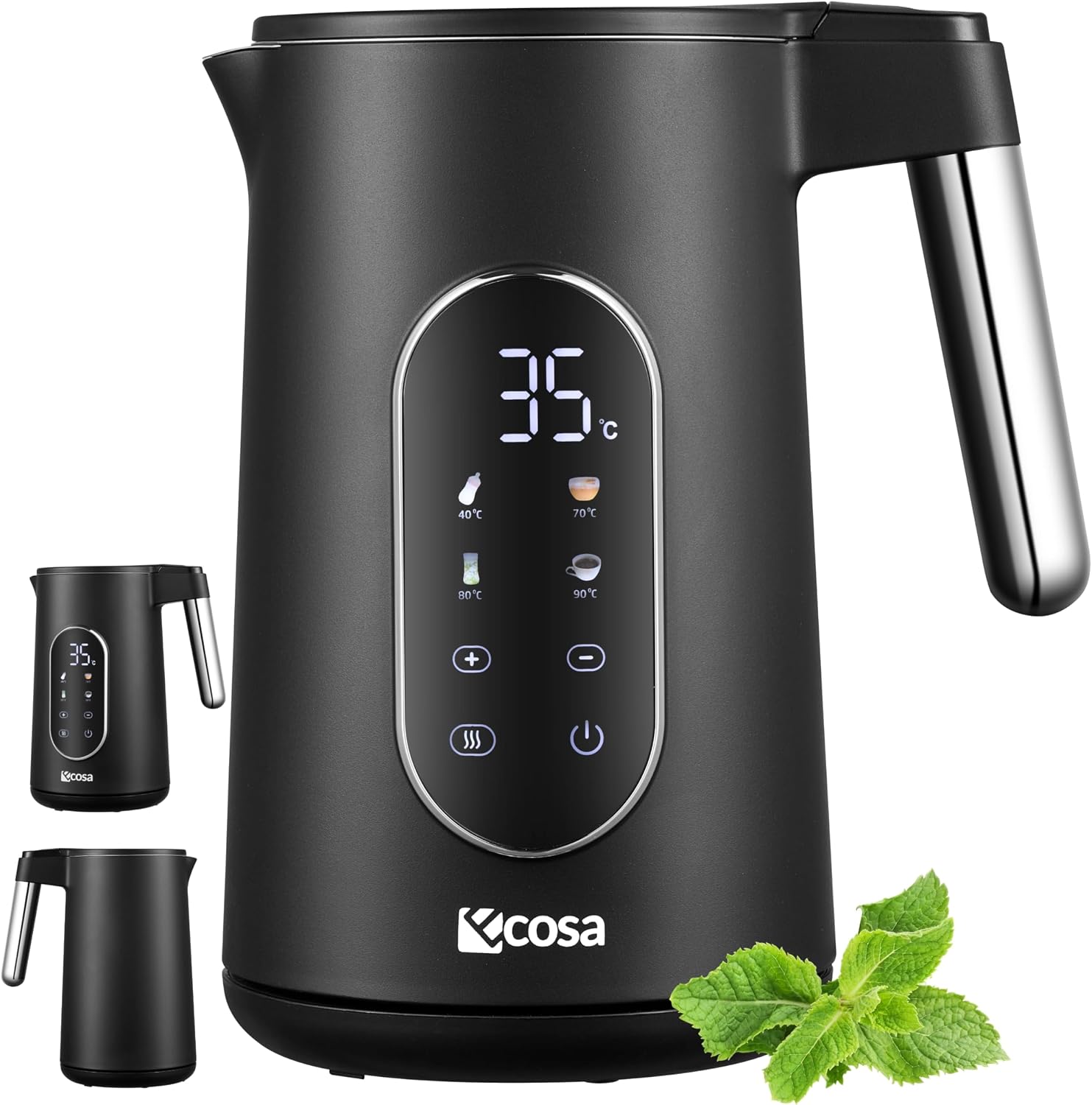 Wasserkocher Edelstahl mit Temperatureinstellung 1,7 L
