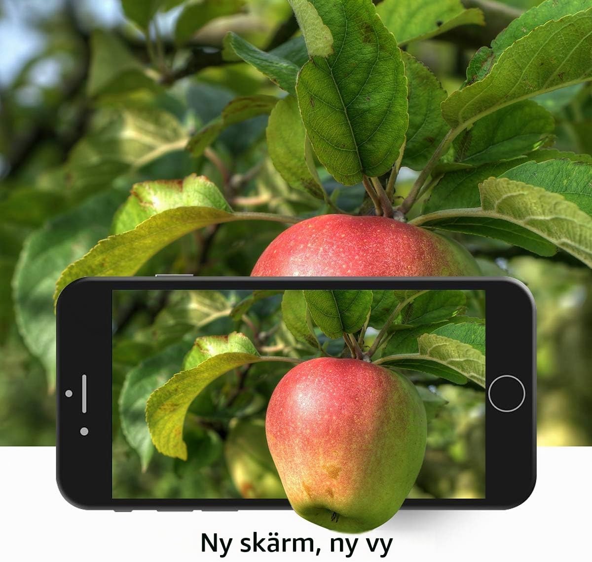 Detalle 2 de Brinonac B8GB01 LCD-skärm för iPhone 8/SE 2020, 4,7 tum, svart