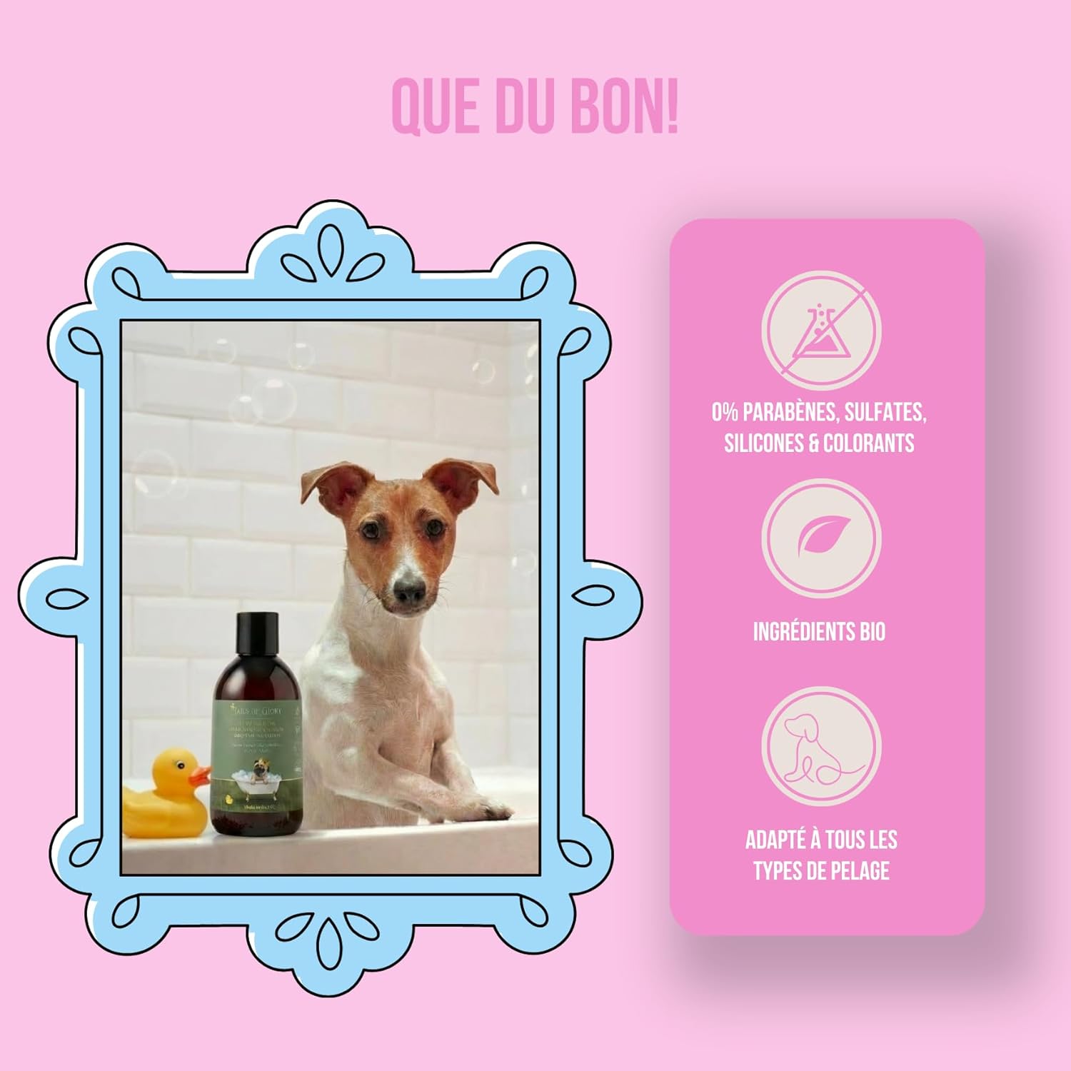 Detalle de Shampoing Chien Bio Aloe Vera & Avoine – Anti-odeur, Peau sensible, Vegan, 300 ml