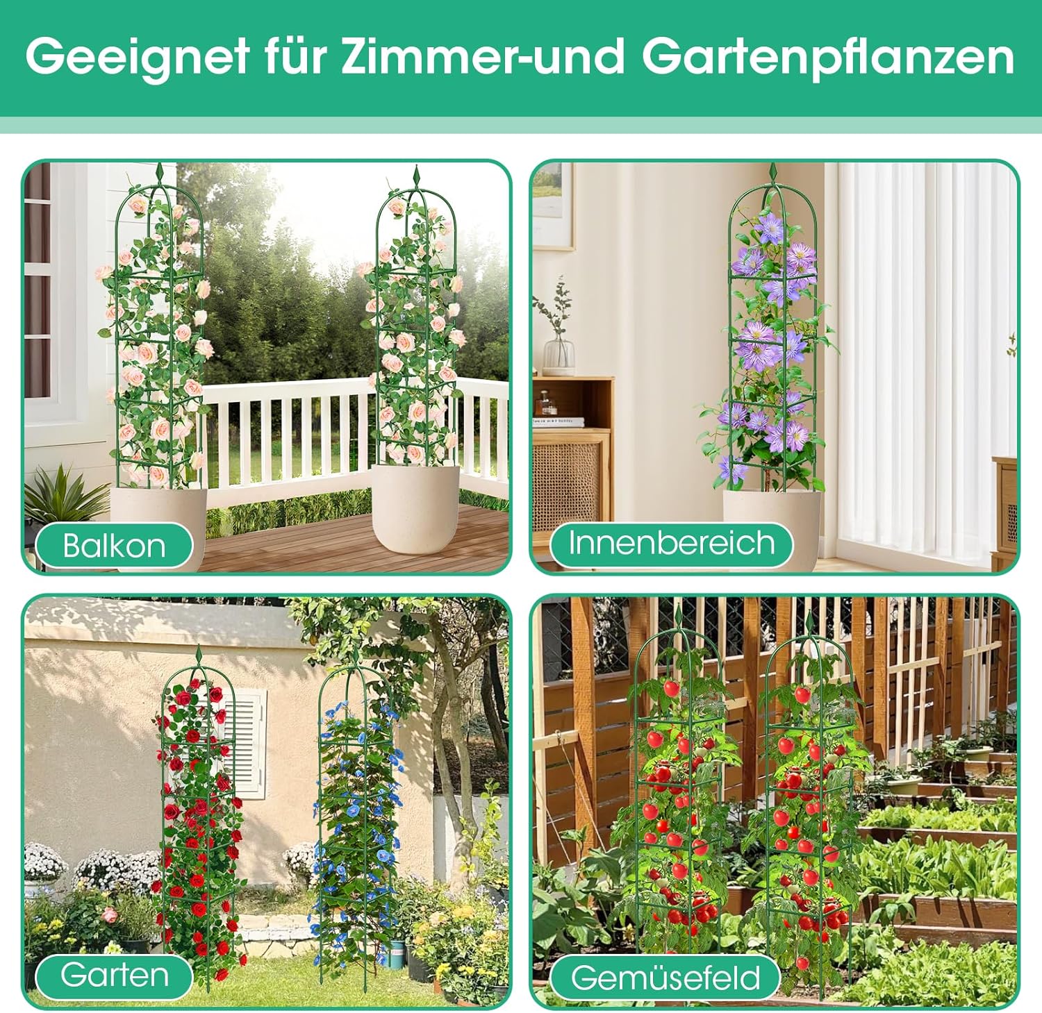 Thumbnail 6 de MQHUAYU support plantes grimpantes 171 cm