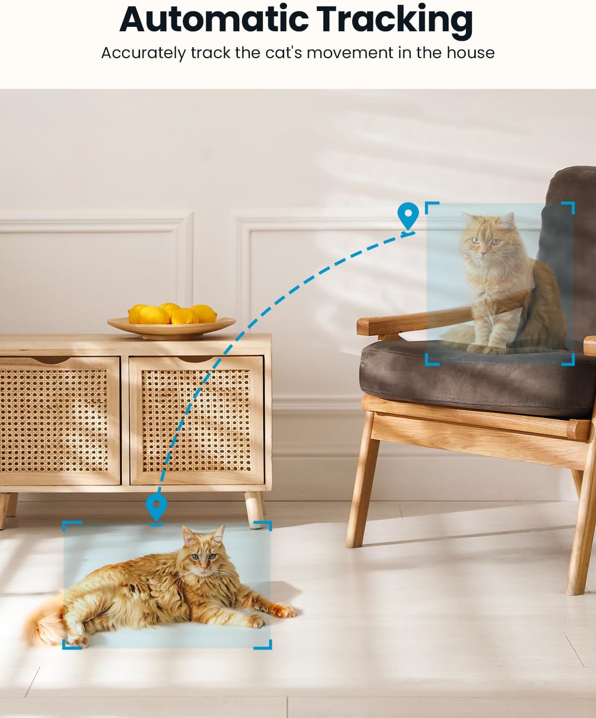 Detalle de ieGeek 2K 3MP indoor camera 2.4/5G WiFi