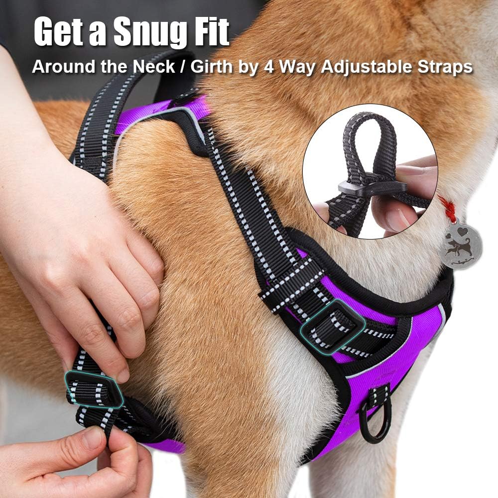 Thumbnail 4 de PoyPet Dog Harness, Large