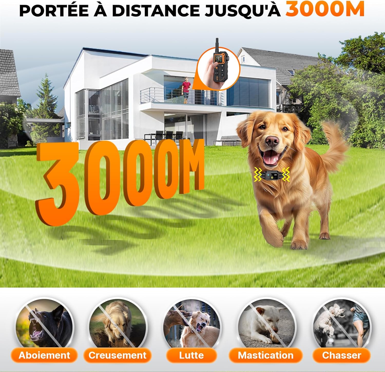Detalle de Collier de dressage 3000 m