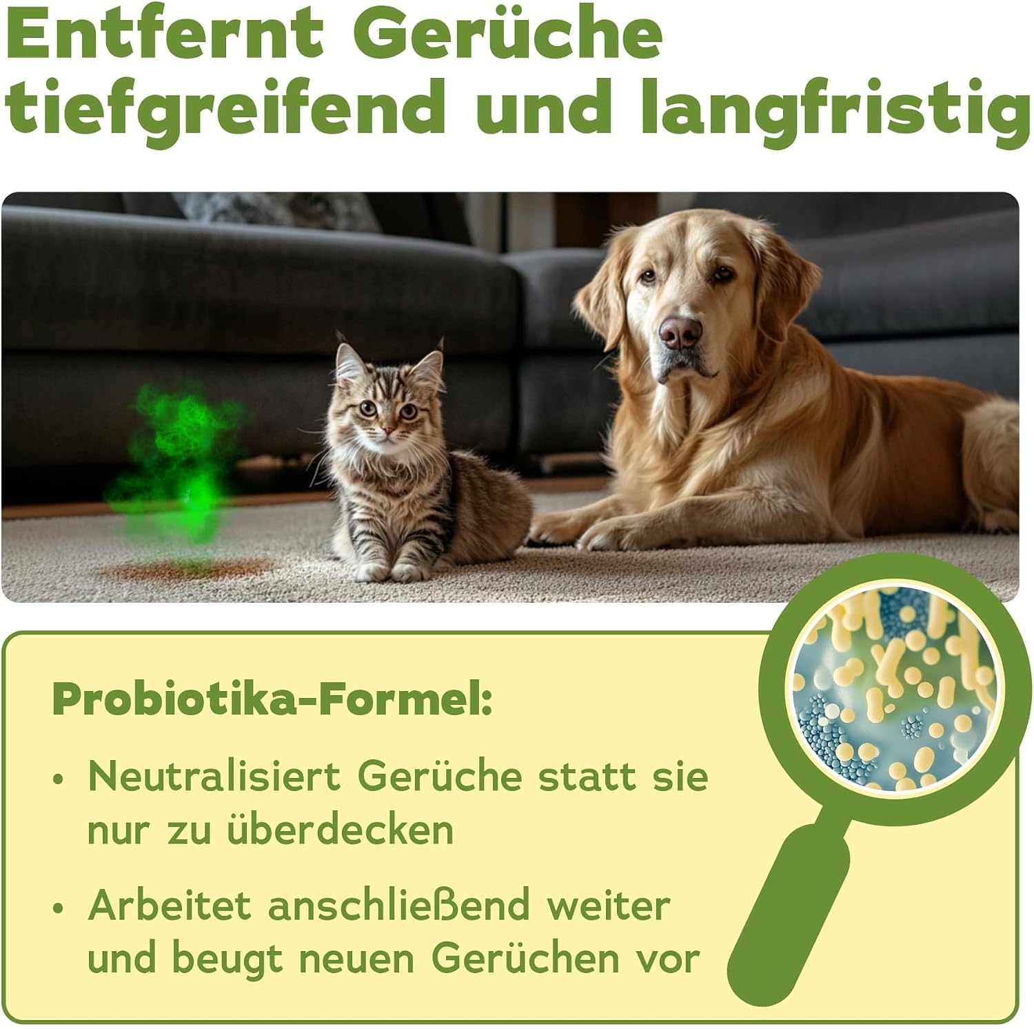Thumbnail 2 de bio-chem Enzymreiniger Konzentrat 1L gegen Tiergeruch – Mikrobiologischer Geruchsneutralisierer mit Lavendelduft