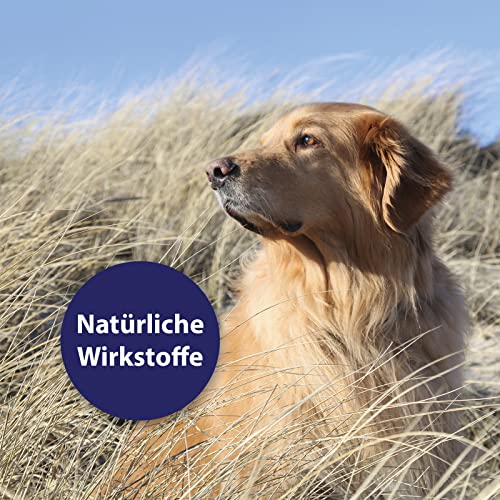 Detalle de Canosept Hautpflegespray für Hunde 250 ml – gegen Juckreiz, Milben & Hautreizungen