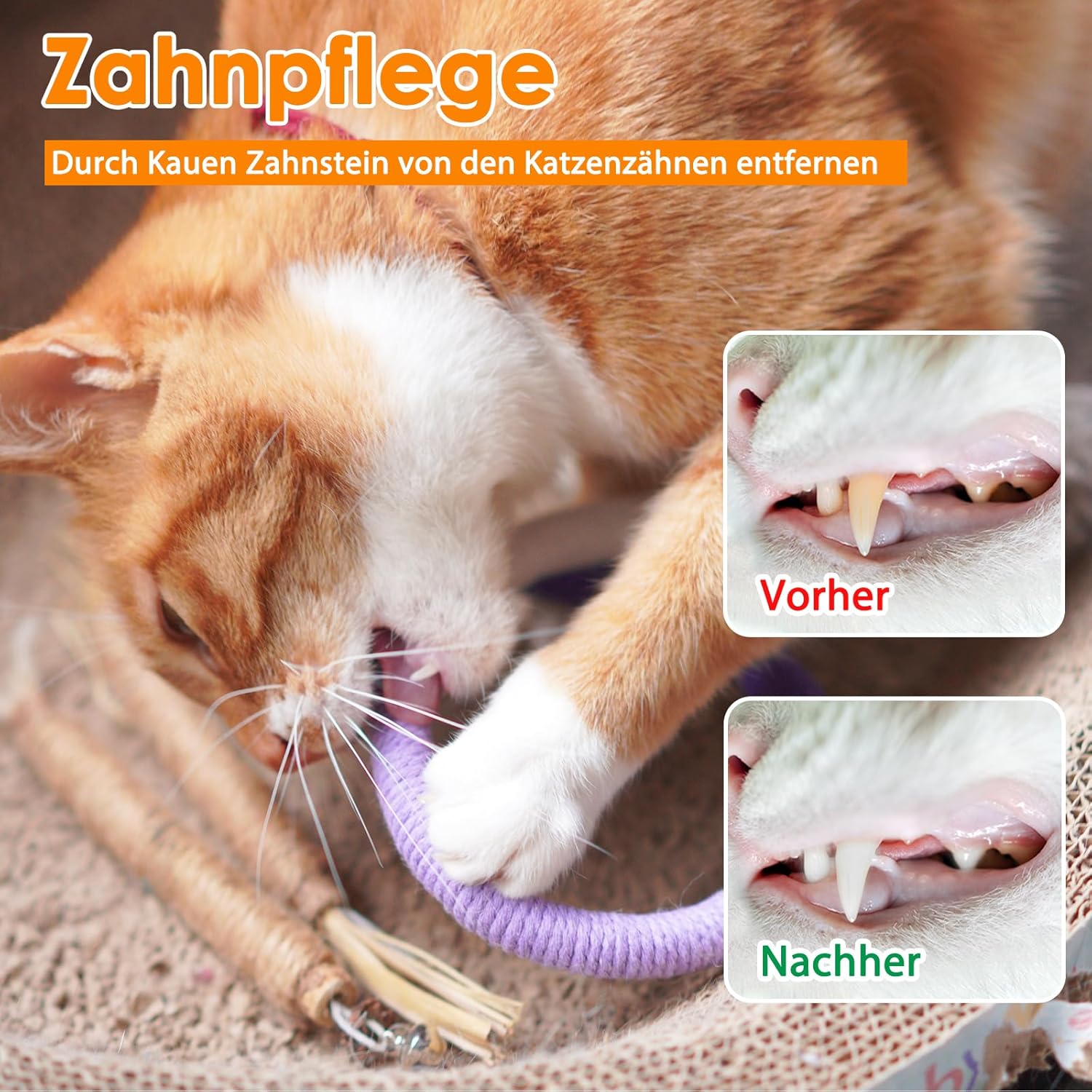 Detalle de Nepfaivy Katzenspielzeug Kauspielzeug für Katzen – 6 Stück Interaktives Katzenminze Kauspielzeug zur Zahnpflege und gegen Mundgeruch