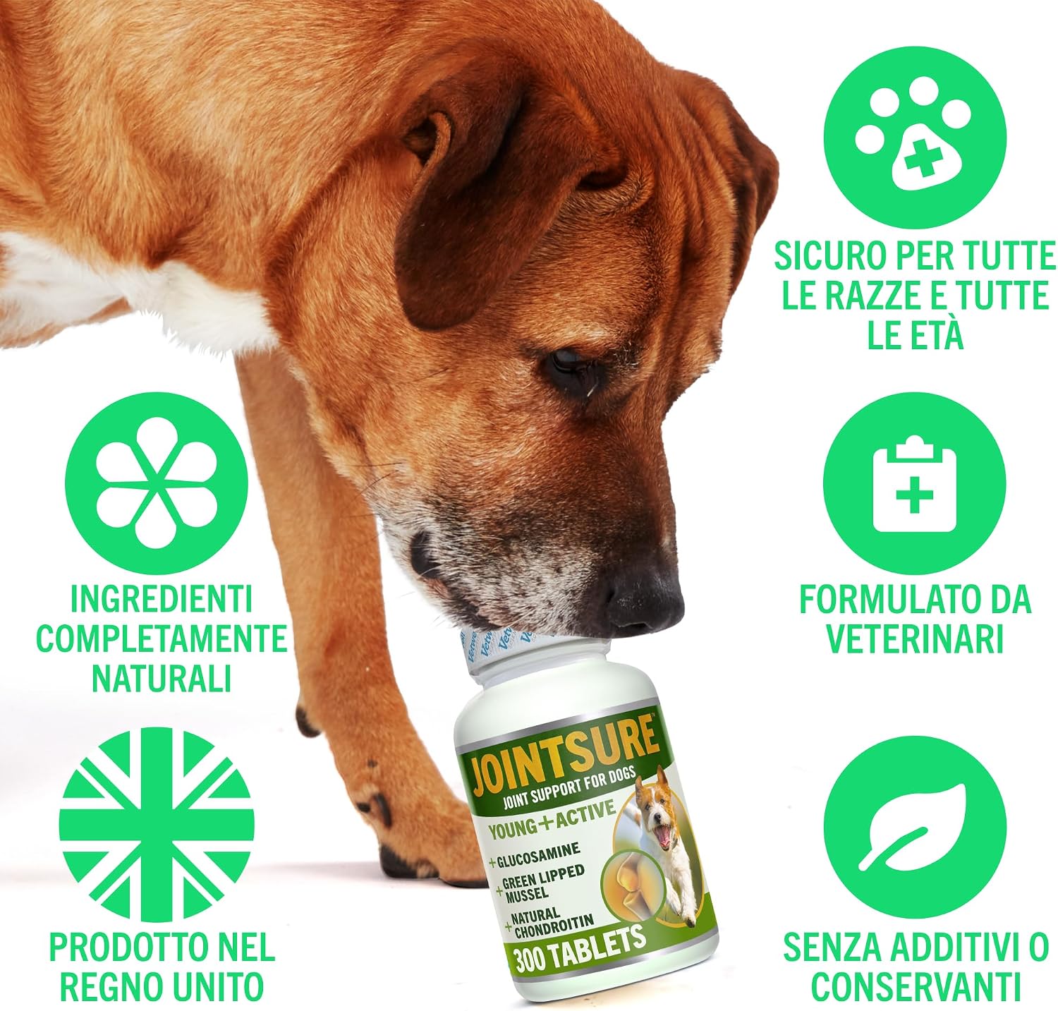 Detalle de JOINTSURE Giovane & Attivo: Integratori per le Articolazioni di Cani e Cuccioli, 300 Compresse
