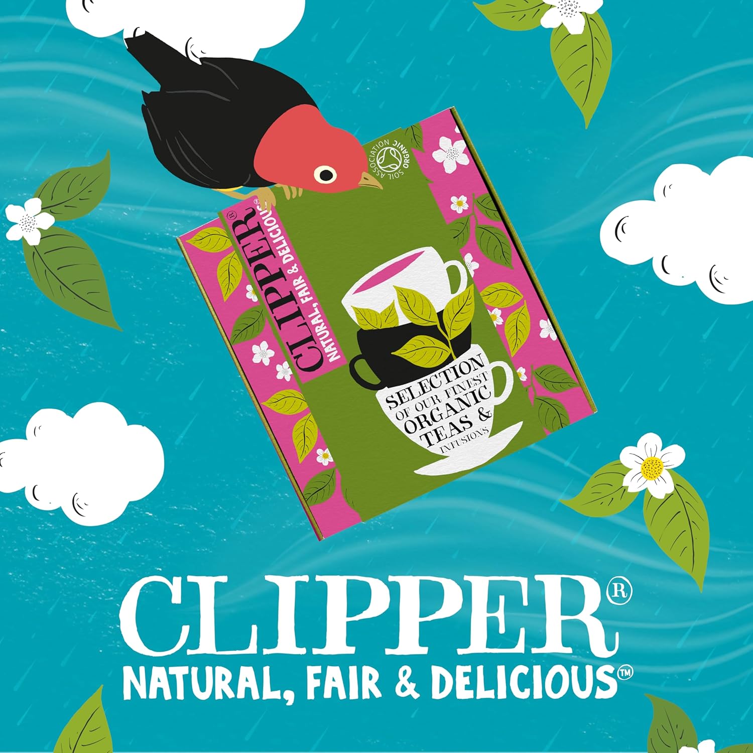 Thumbnail 4 de Clipper Coffret Découverte Infusions et Thés Bio – 9 Saveurs, 45 Sachets Non Blanchis