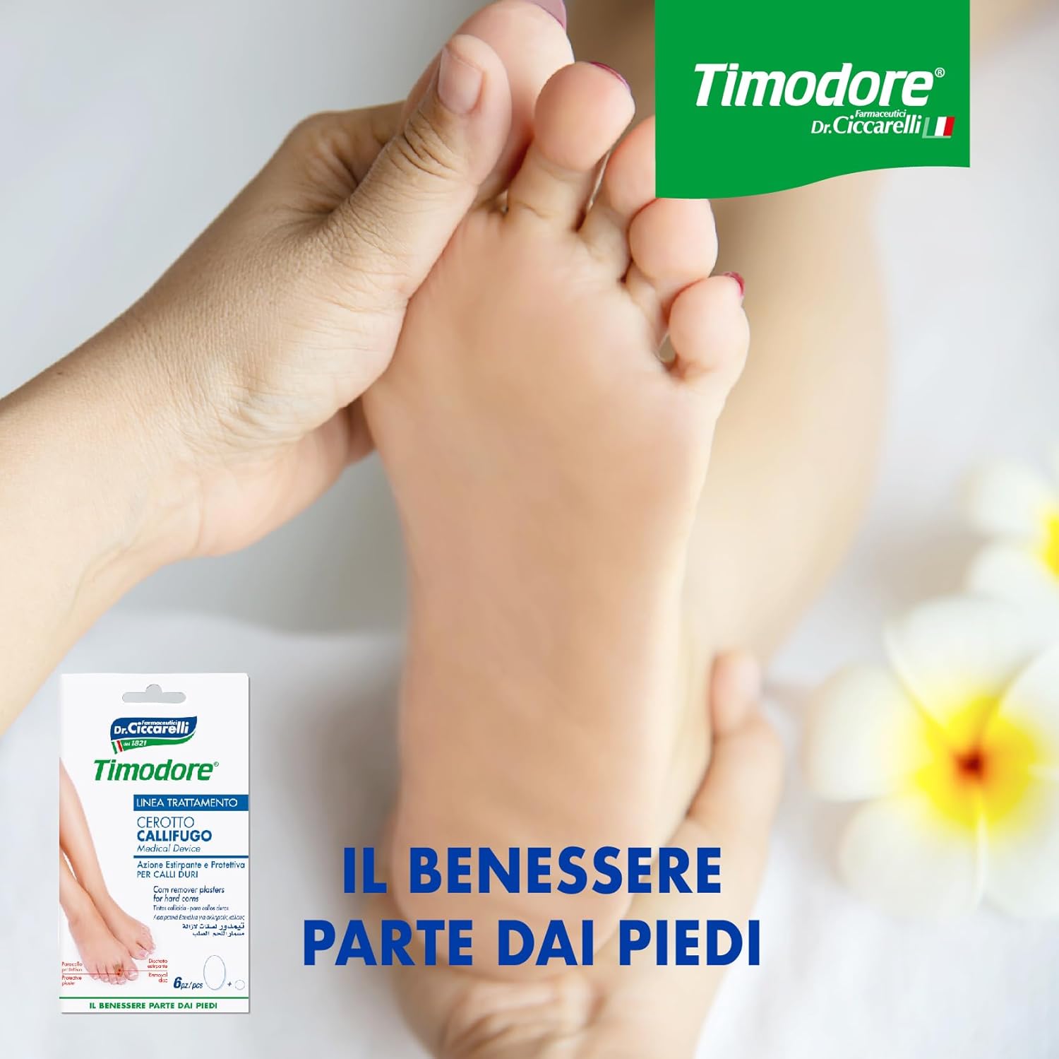 Thumbnail 4 de Timodore cerotto callifugo per calli duri, 6 pezzi (anche per mani)