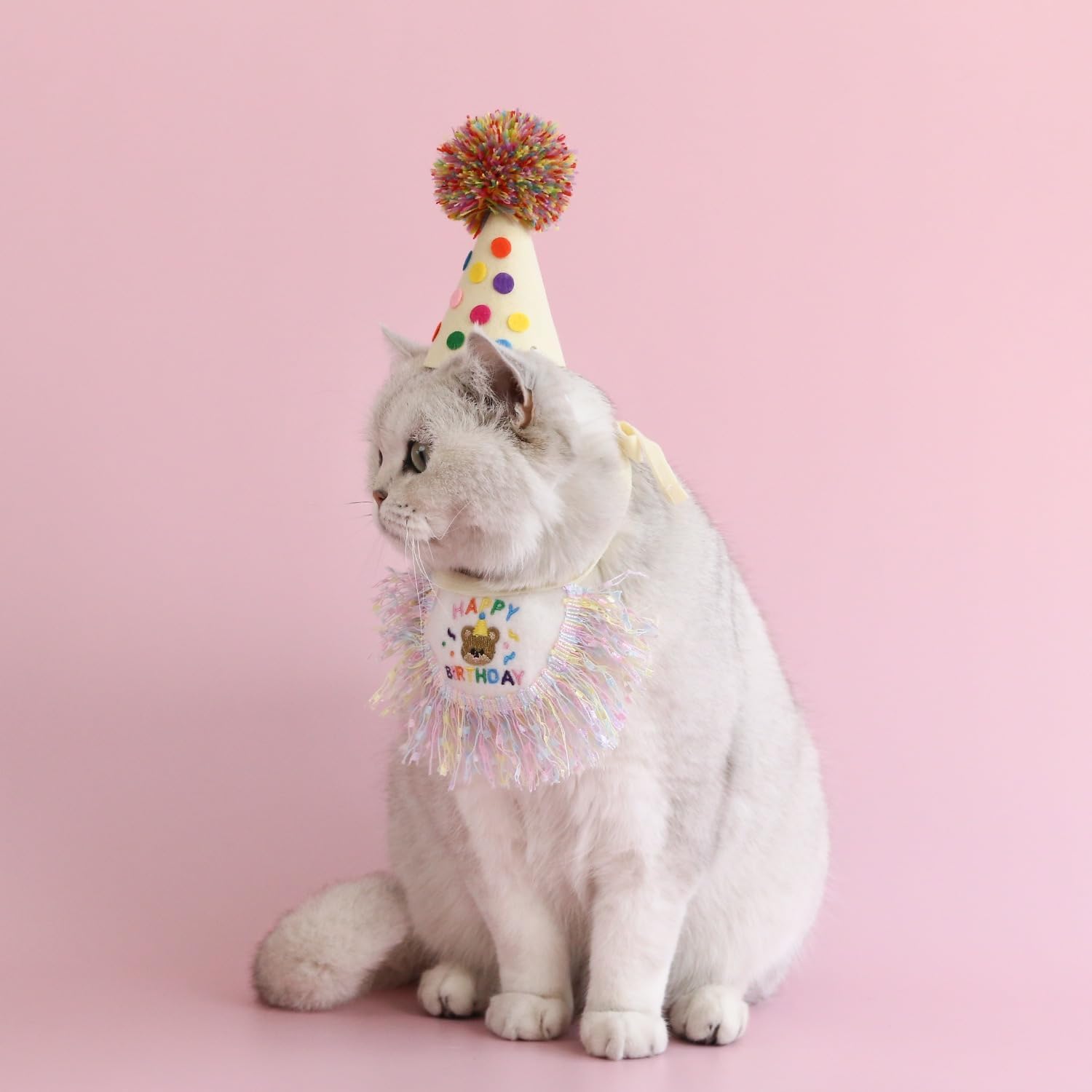 Detalle 2 de Cat Birthday Bandana and Party Hat Set with Embroidered Happy Birthday