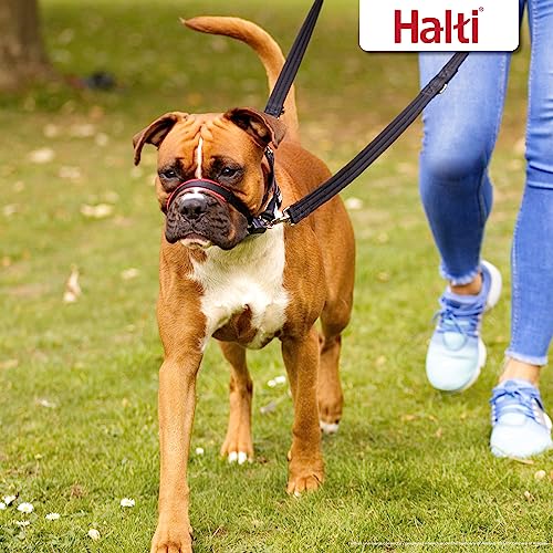 Thumbnail 5 de Collar Ronzal Optifit HALTI para perros medianos M