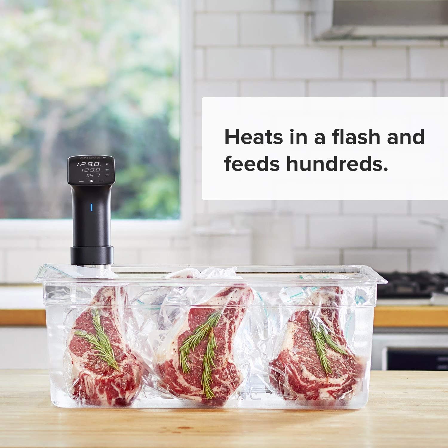 Detalle de Anova Sous Vide Cooker 1200 Watts