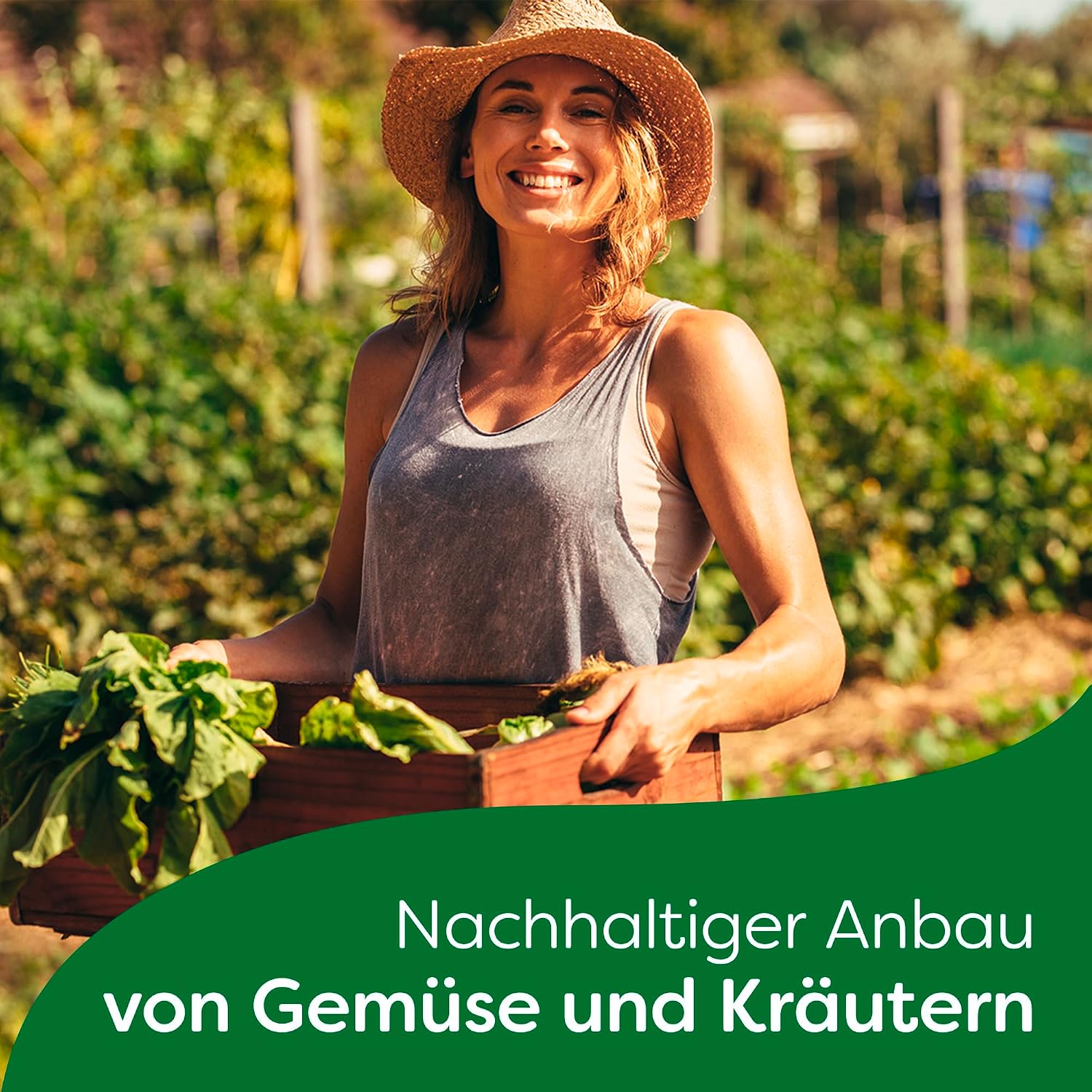 Detalle de Knorr Feinschmecker Waldpilz Cremesuppe – cremig, natürliche Pilzaromen ohne Zusatzstoffe