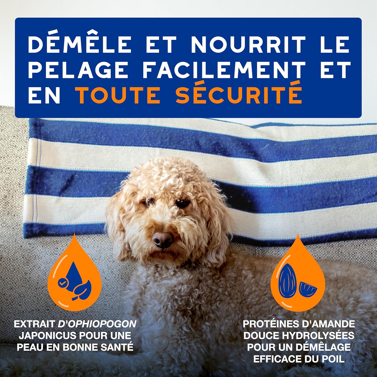 Detalle de DOUXO Skin & Coat Spa – Spray démêlant Ultra-Safe pour chiens, 340 mL