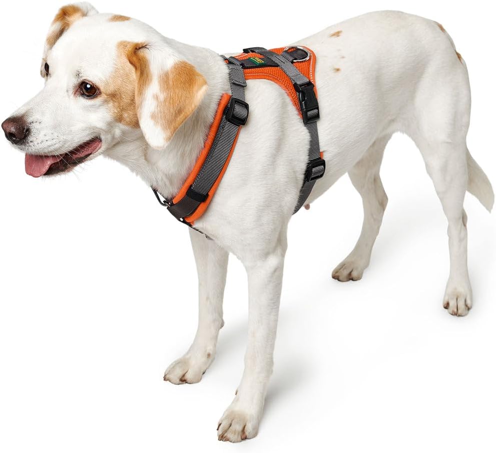 Detalle 2 de Hunter Hundegeschirr Maldon UP in braun/grau – weich gepolstert, 3M Scotchlite & 4-fach verstellbar (Größe XS-S)