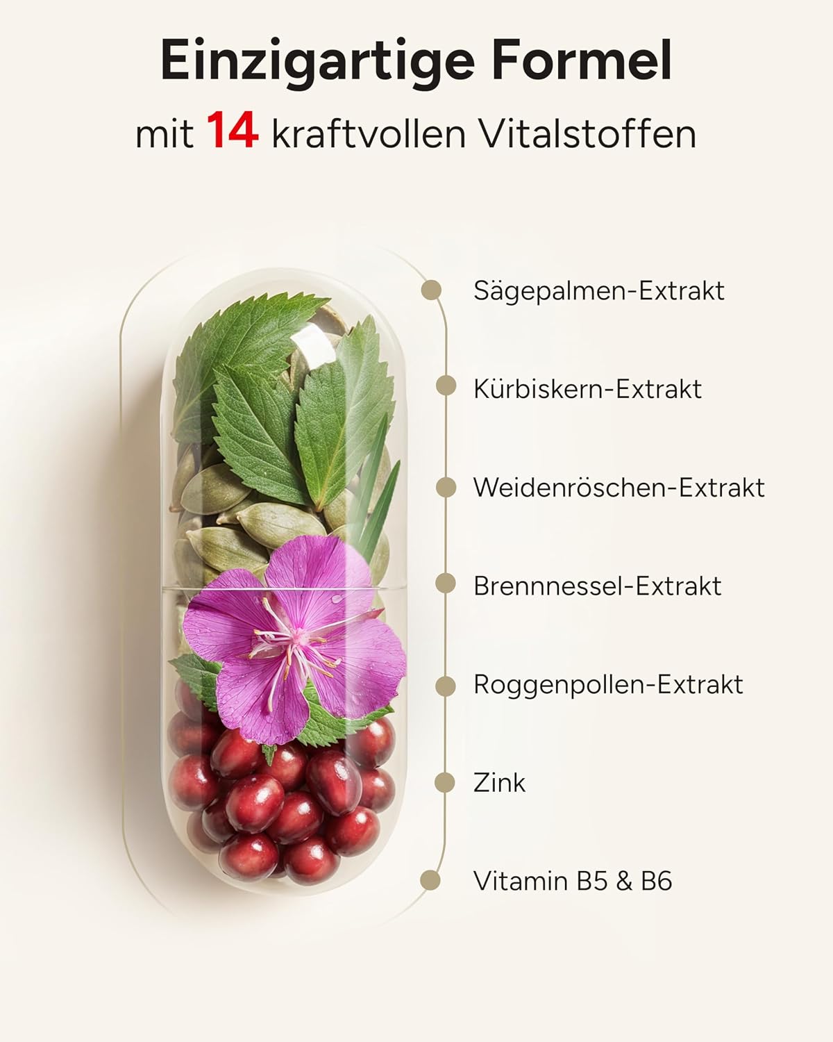 Detalle de PROSTA PLUS Prosta‑Kapseln 3‑Monate Vorrat 💊