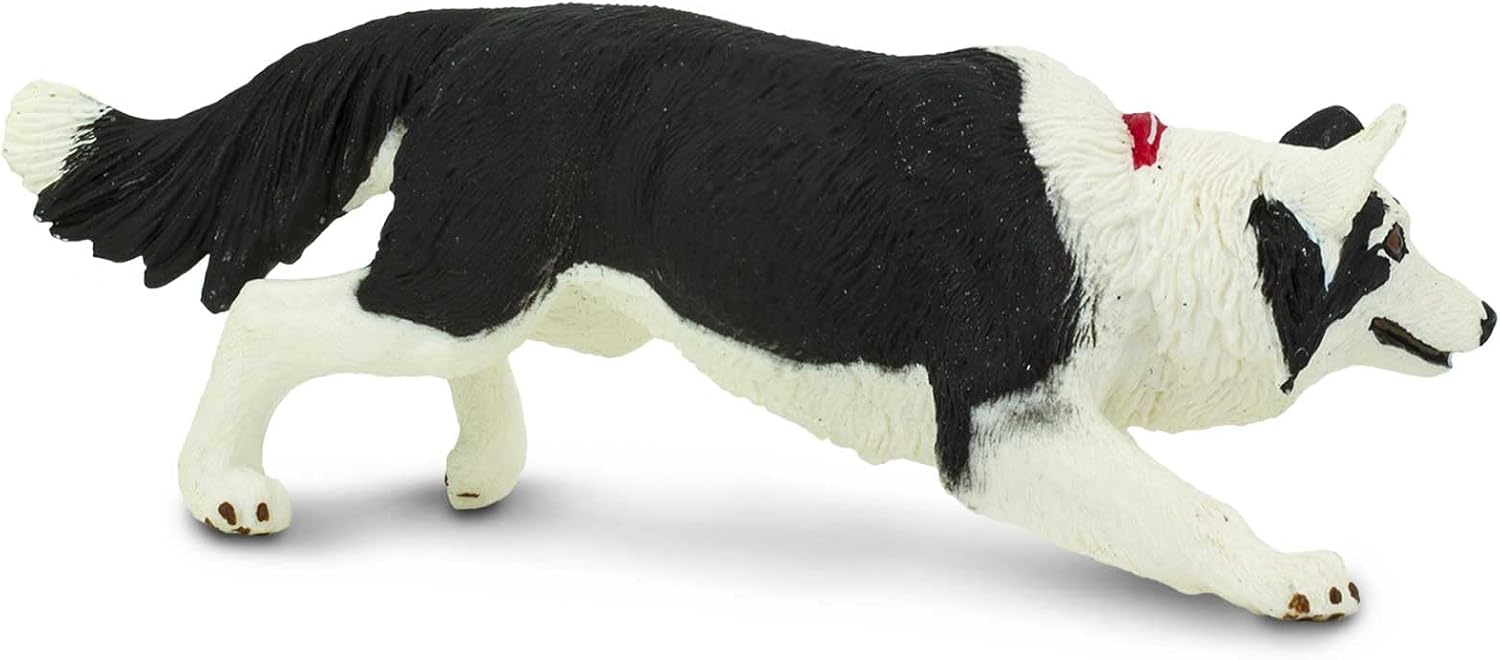 Thumbnail 4 de Safari Ltd Border Collie miniatuurfiguur van kunststof, meerkleurig