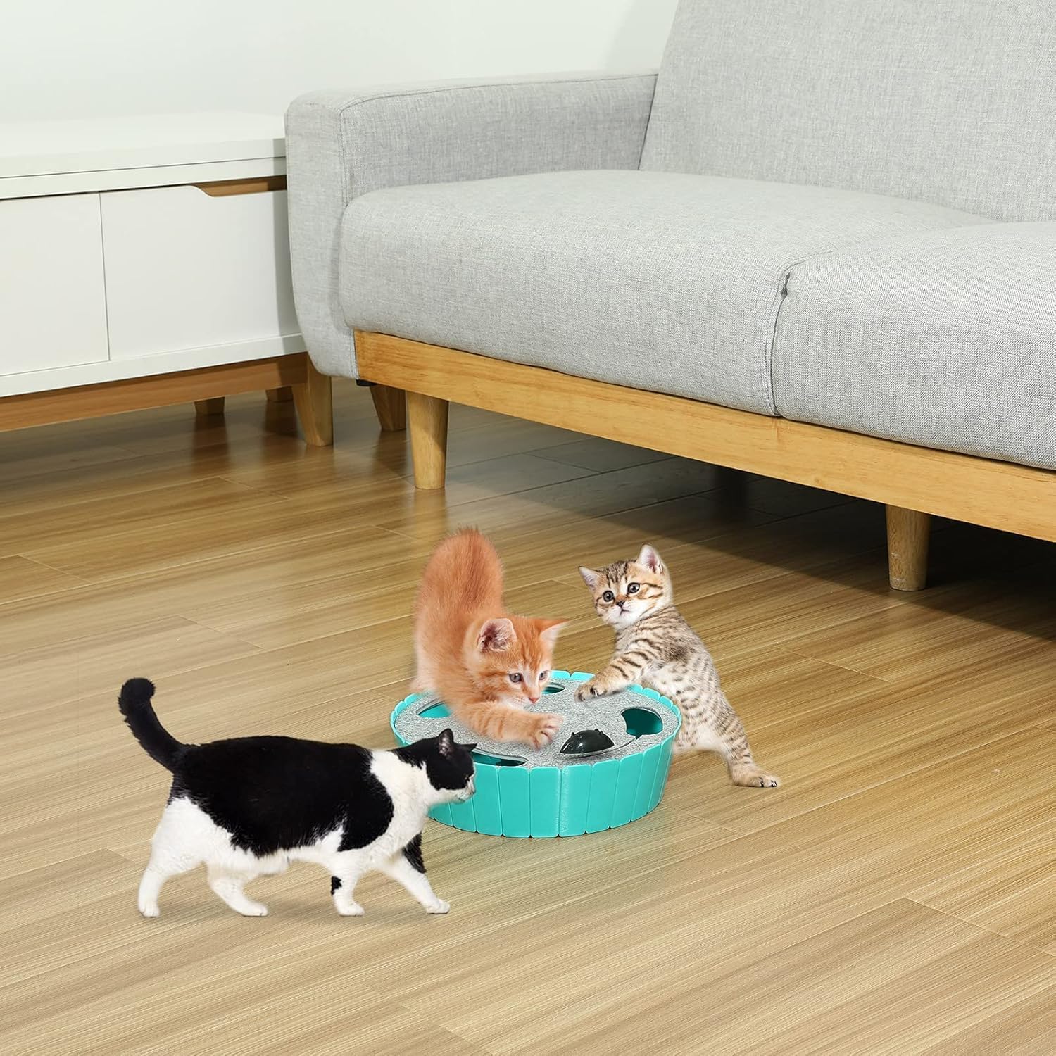 Detalle 2 de Pawaboo Interactive Cat Toy With Running Mouse (Lake Blue) – Indoor Teaser for Curious Cats