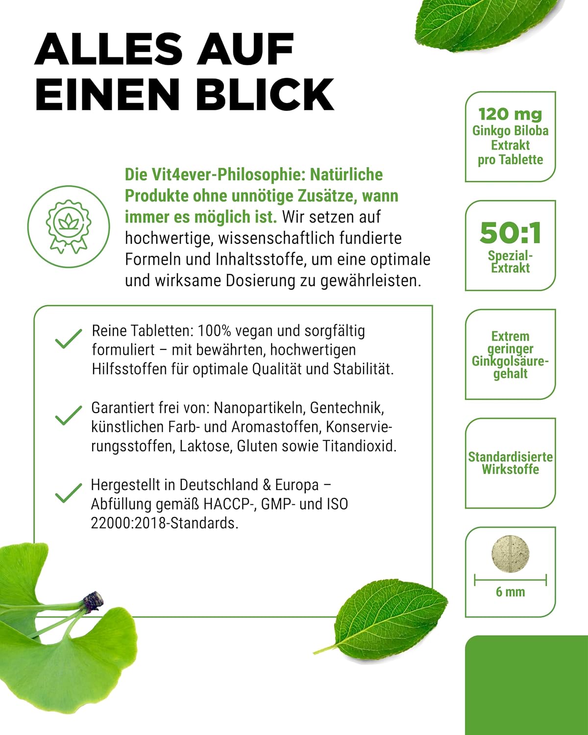 Detalle 2 de Vit4ever Ginkgo Biloba 6000 mg – 365 Tabletten 🍃
