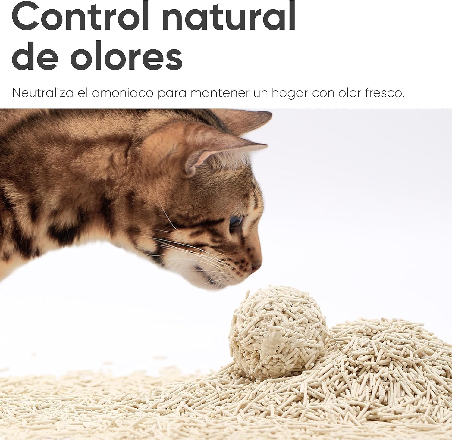 Thumbnail 2 de FUKUMARU Arena de Tofu para Gatos 10.8kg - Sin Polvo 🐾