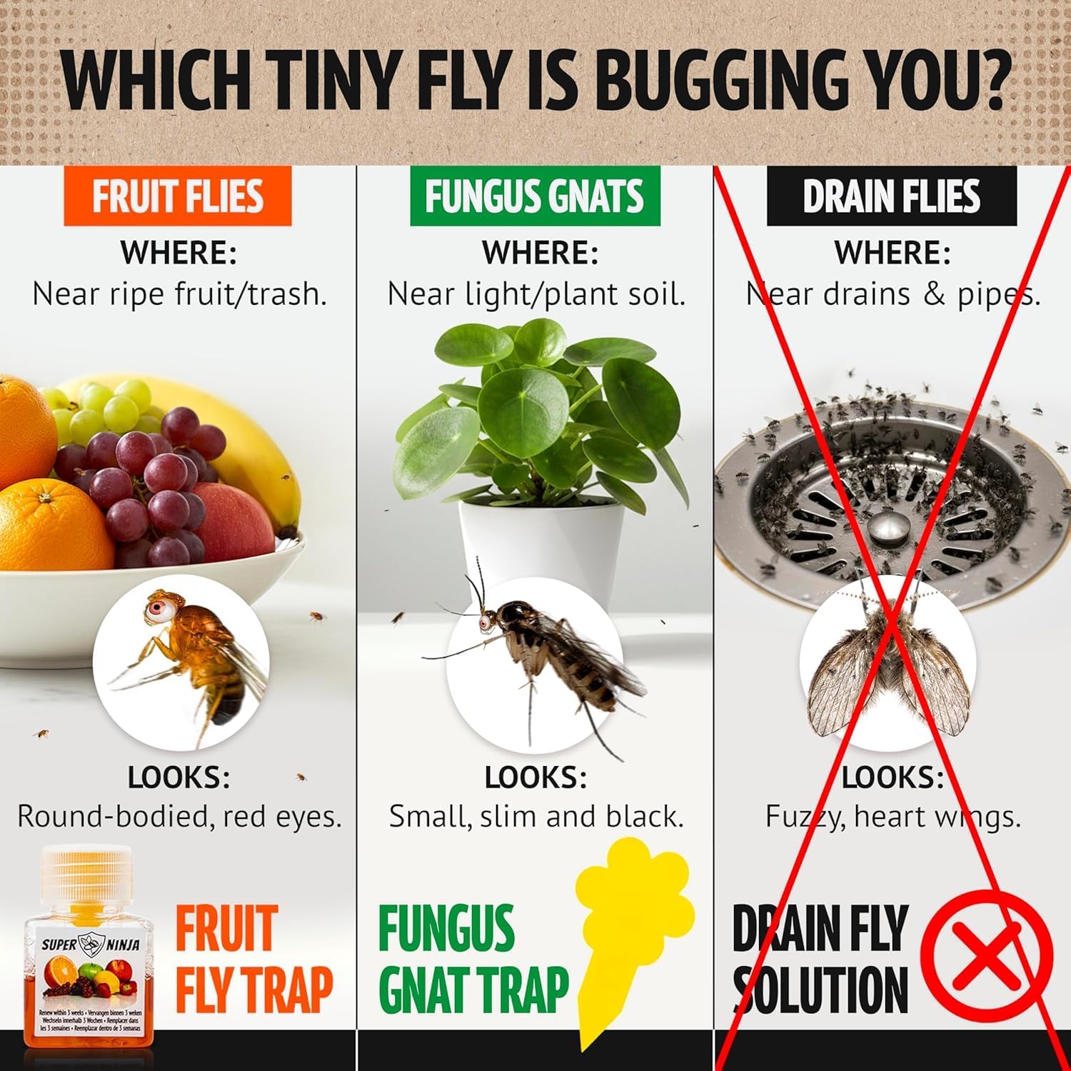 Detalle de Super Ninja Fruit Fly Traps for Indoors — 4 Pack, Safe, Effective Indoor Fly Control