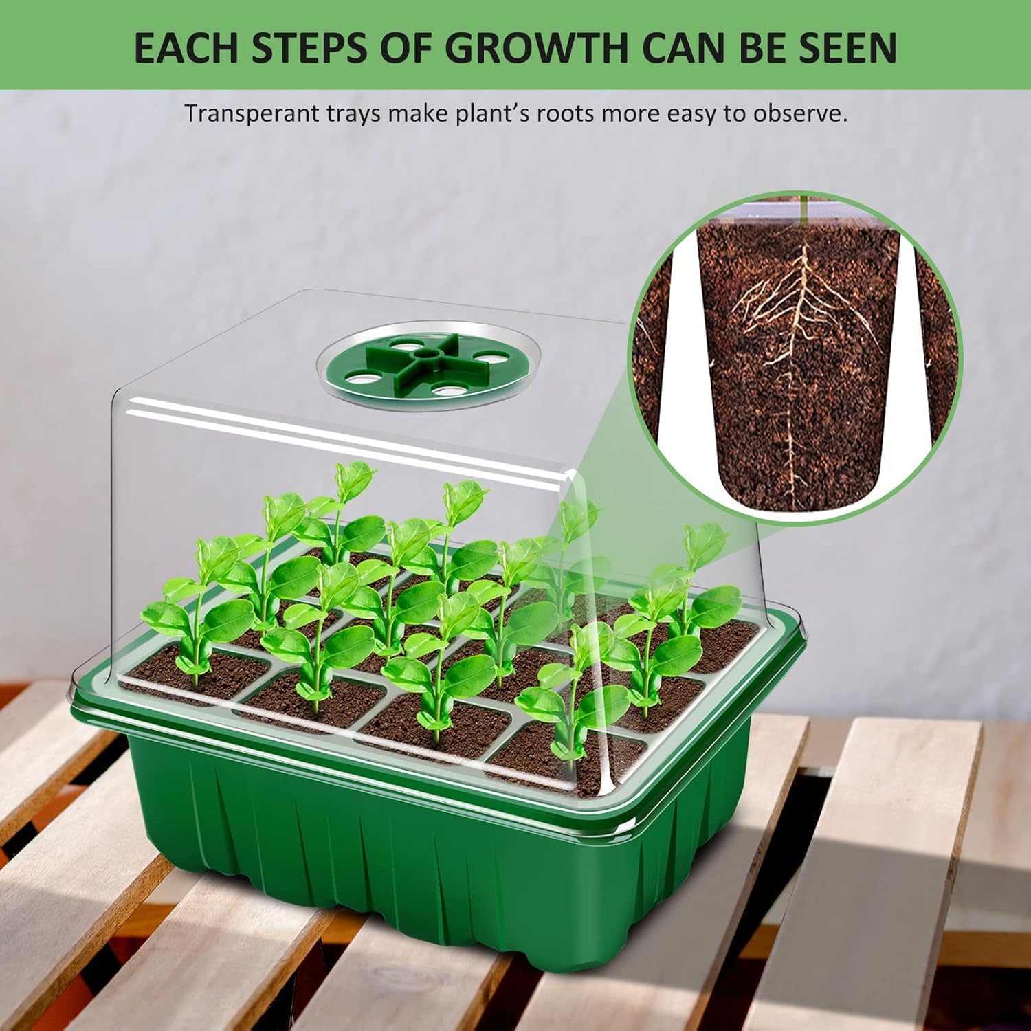 Thumbnail 6 de YAUNGEL Seed Trays 120-cell 10 pack for seedlings 🌱