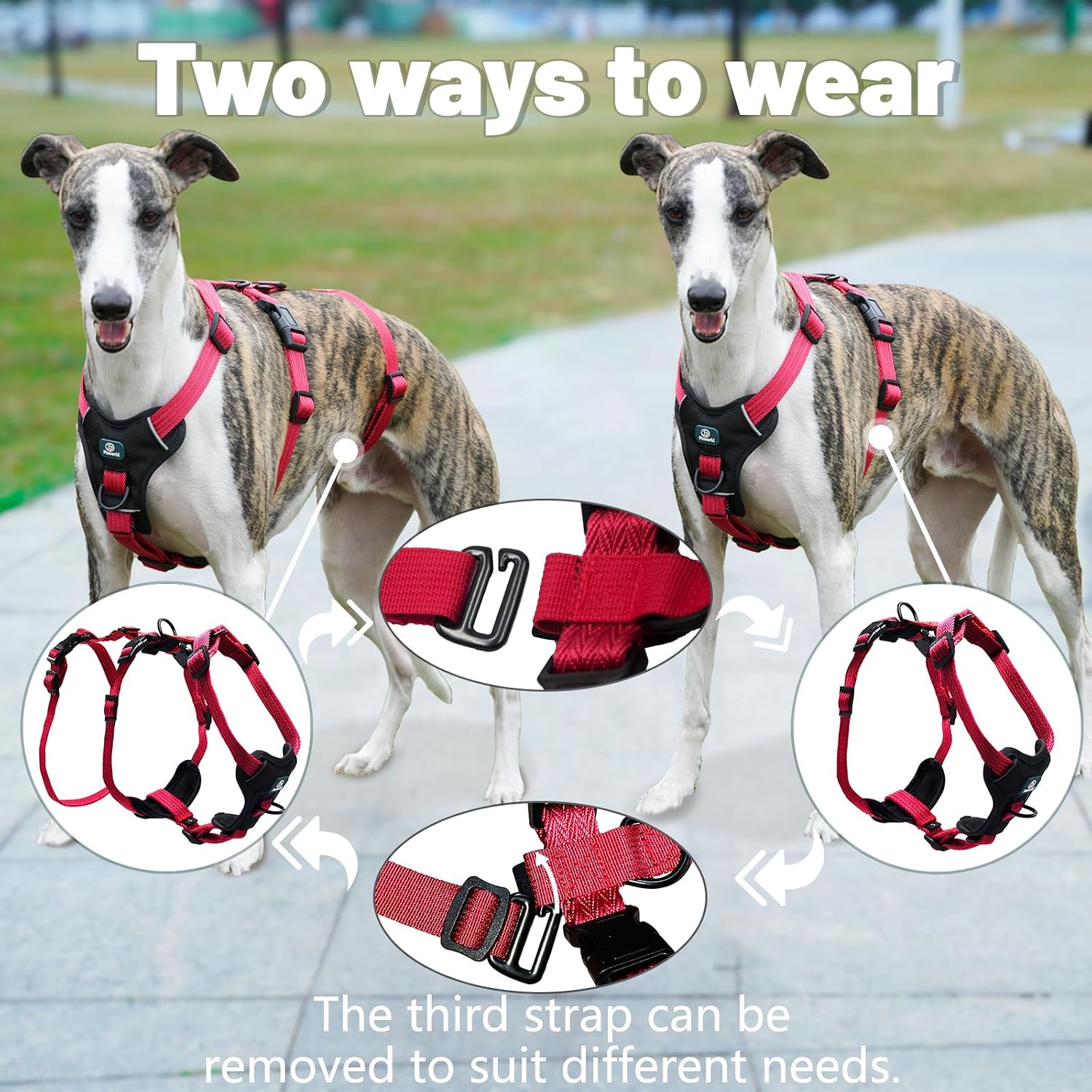 Detalle de Paworld Escape Proof Dog Harness (XL) – 3-Point Greyhound Harness with Front Clip for Whippet and Large Breeds