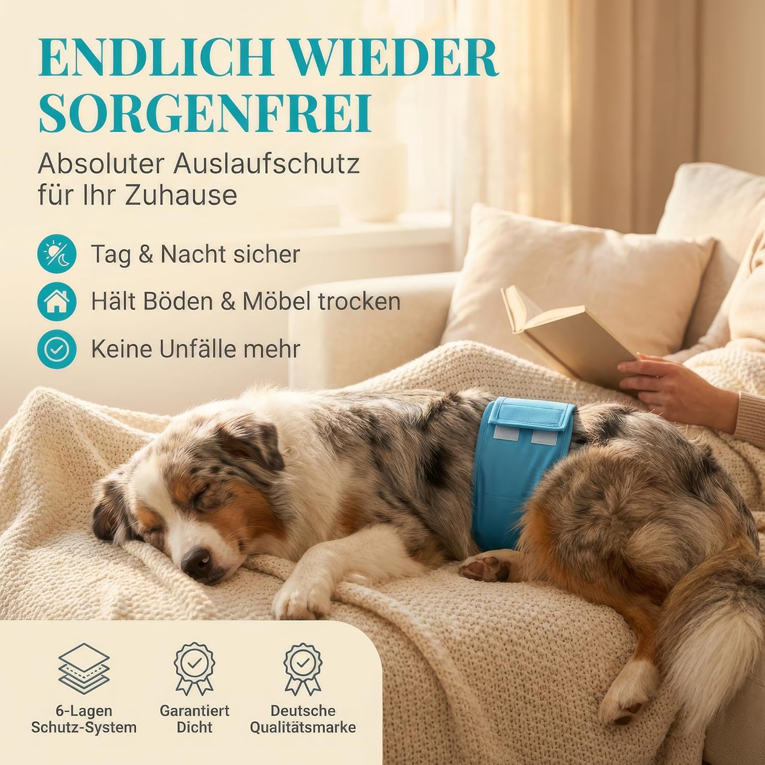 Thumbnail 1 de HUND IST KÖNIG Hundewindeln für Rüden (3er-Pack) – waschbare Inkontinenz-Windeln mit saugstarken Einlagen