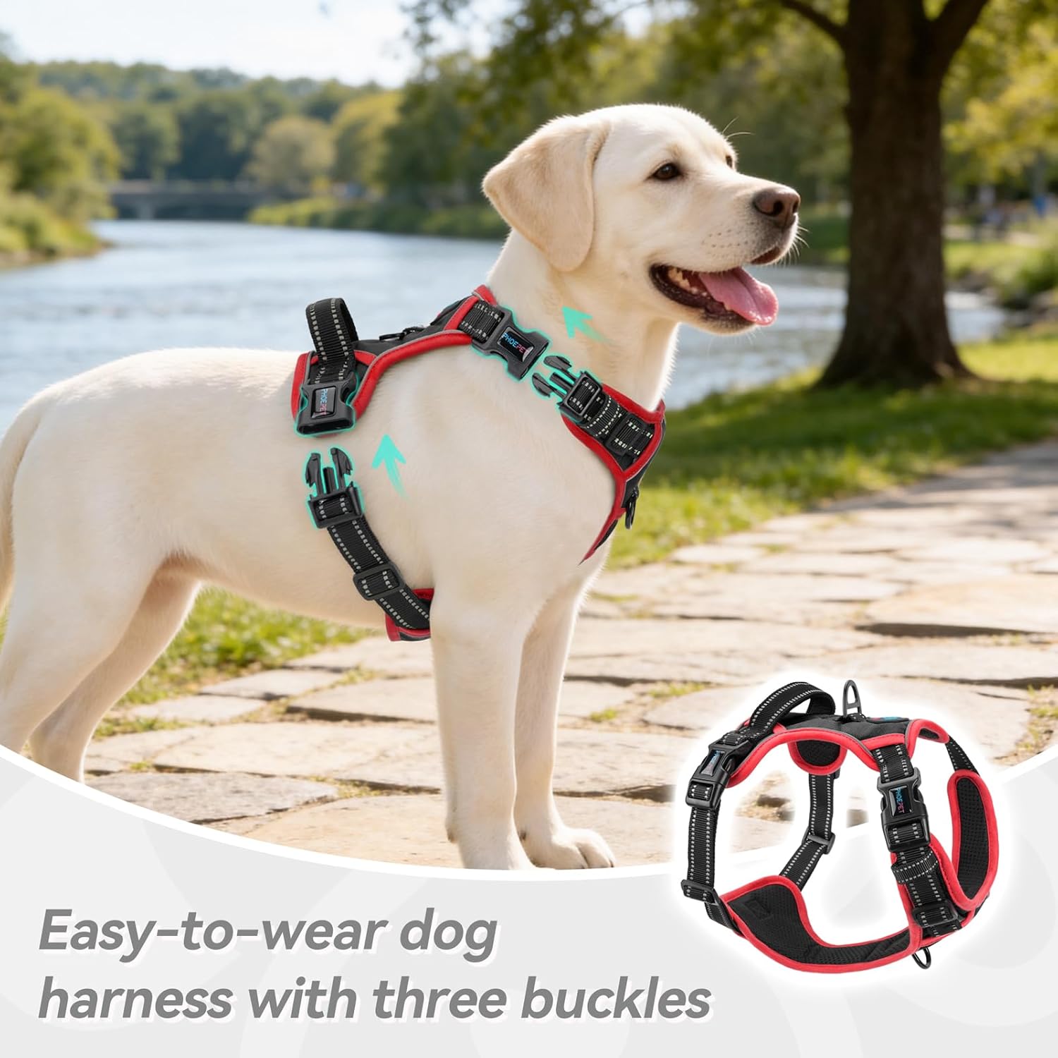 Thumbnail 2 de PHOEPET No Pull Dog Harness with Reflective Strips – Adjustable Vest for Small to Large Dogs