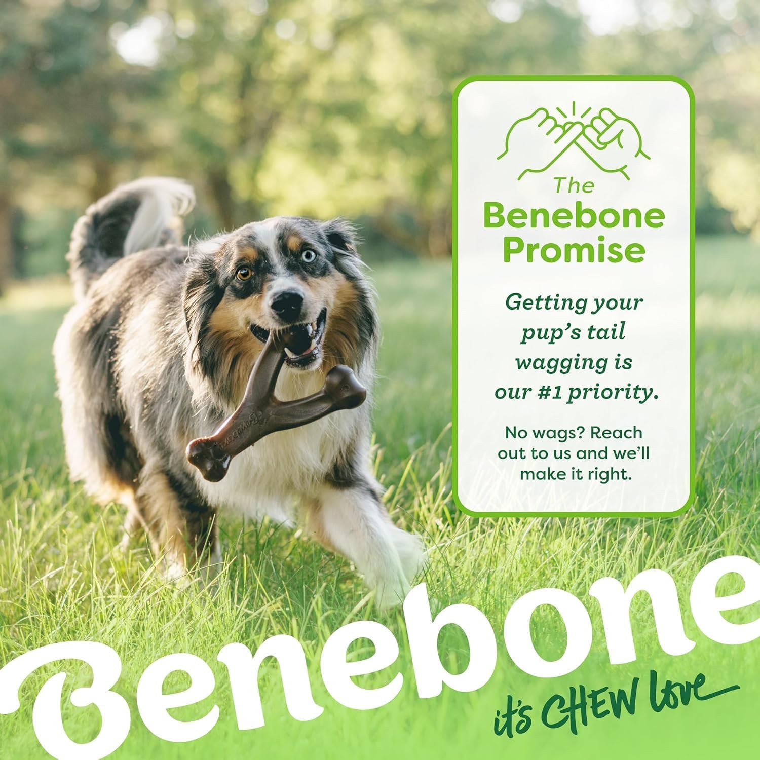 Thumbnail 5 de Benebone Tiny 2-Pack Dental Chew/Wishbone for Aggressive Chewers – Real Bacon Flavour for Extra Small Dogs