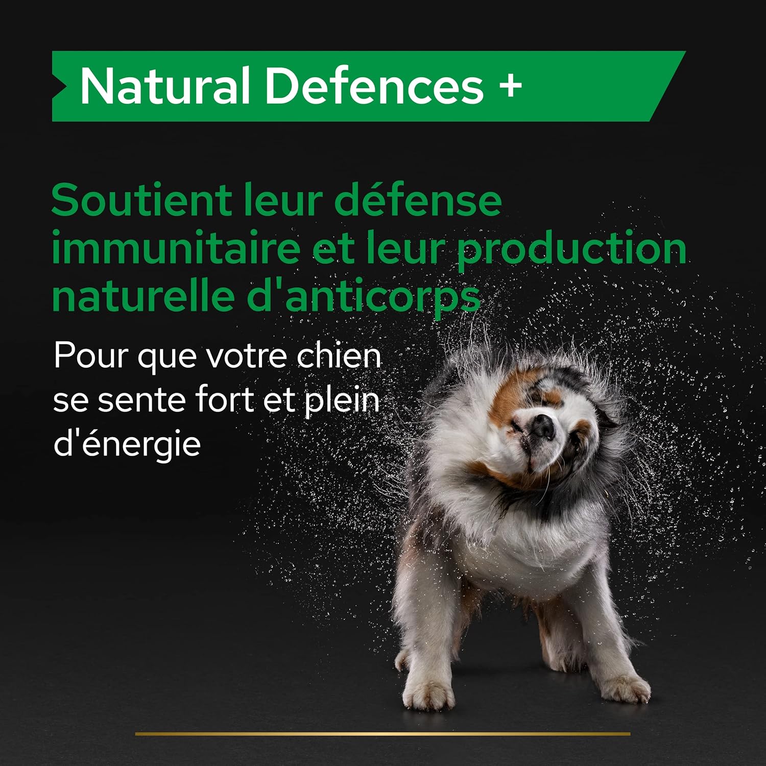 Detalle de PURINA PRO PLAN Natural Defences+ pour Chien Adulte – Comprimés en boîte de 67 g