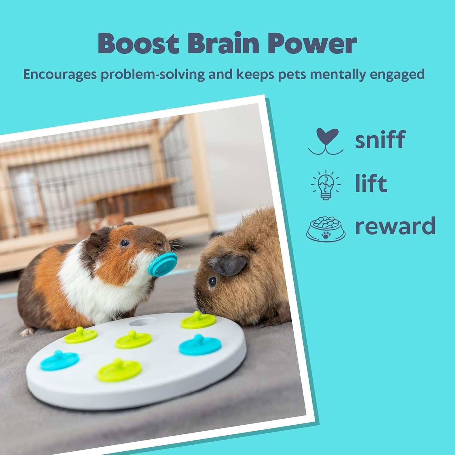 Thumbnail 2 de Trixie 62812 Snack Board aus Kunststoff (ø 20 cm) in Grau