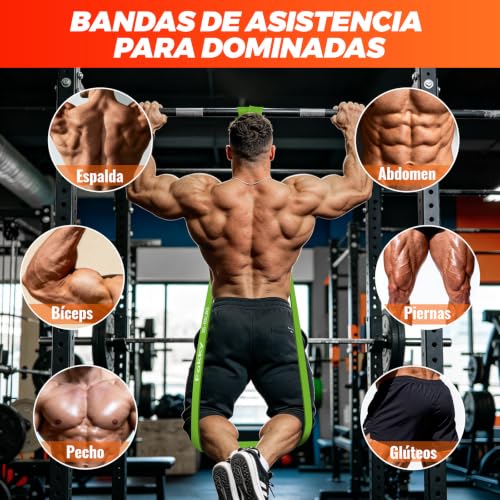 Detalle de Fokky set de bandas elásticas de musculación, 4 resistencias y bolsa