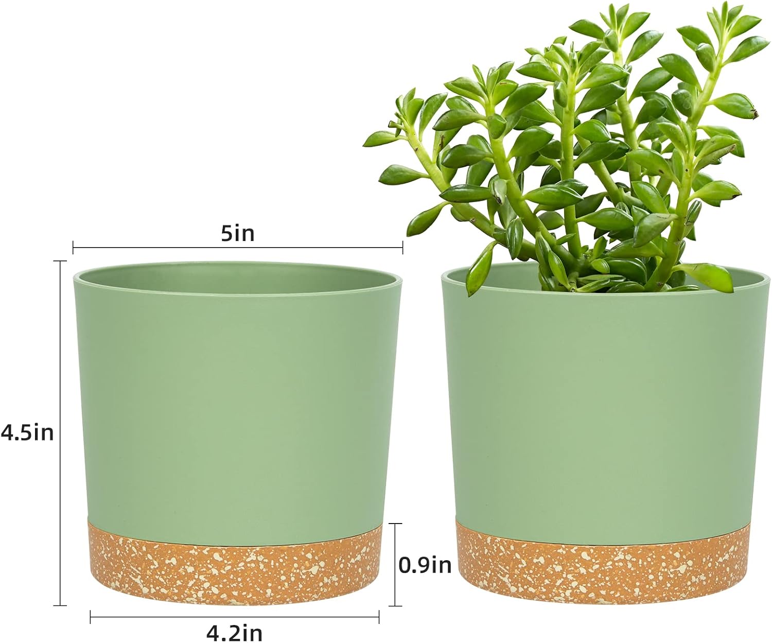Detalle 2 de QCQHDU 25.4cm Plant Pot (2 Pack) with Drainage Holes & Saucer Tray, Green