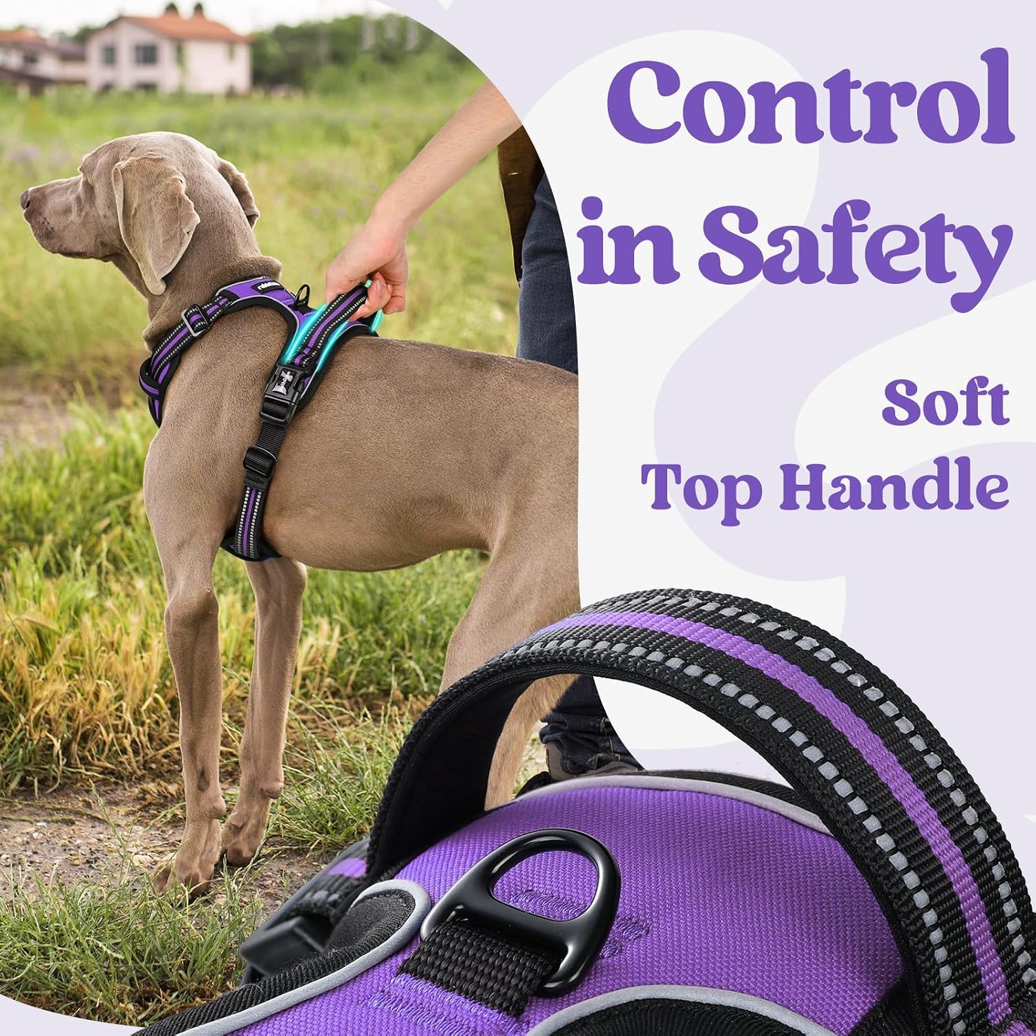 Detalle 2 de rabbitgoo DGBDSCKK01LPE24CW-EU Dog Harness, Large Purple, 3 Buckles