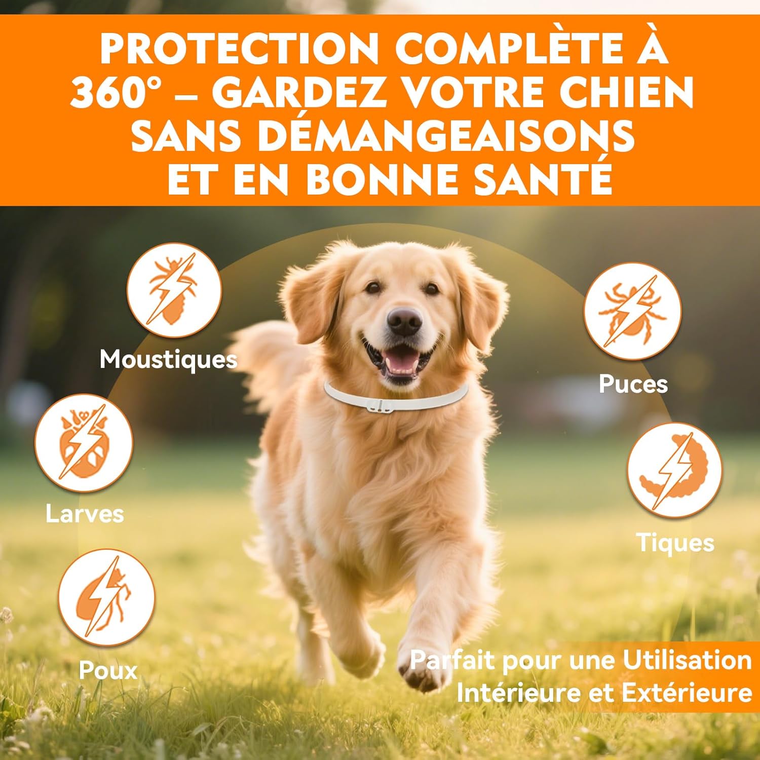 Detalle de Aarovibe Collier Anti Puces pour Chien – Réglable 65 cm, Imperméable et Efficace 12 Mois (2 Pack)