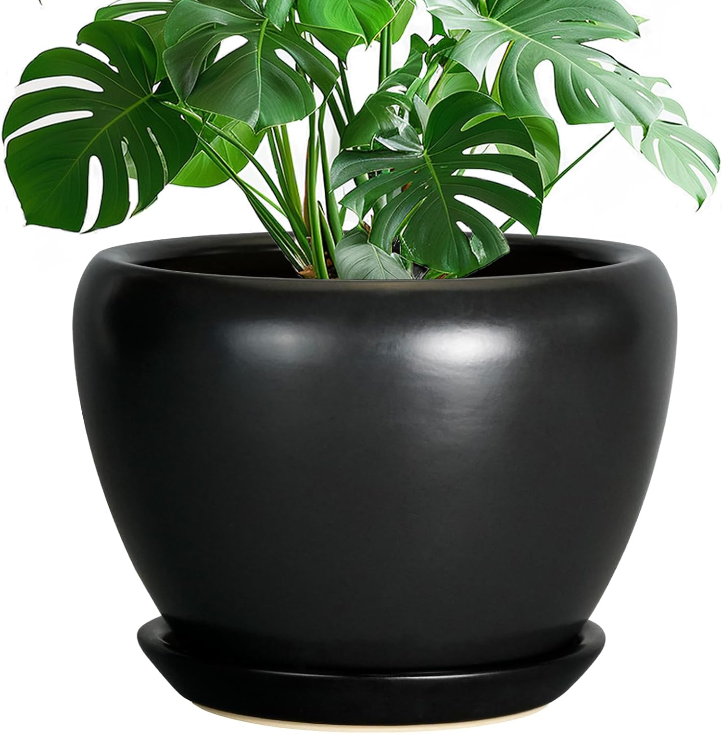 Ceramicfor 10 Inch Ceramic Plant Pot with Saucer
