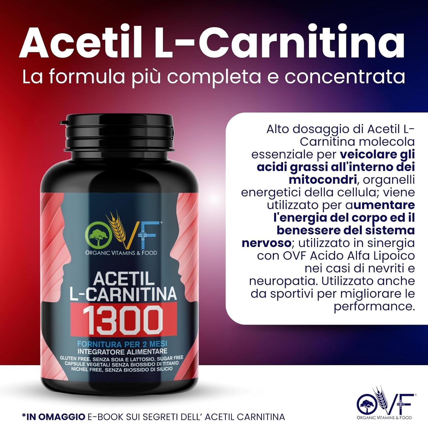 Detalle de OVF Acetil L-Carnitina 1300 mg 120 cps – energia e focus, Made in Italy