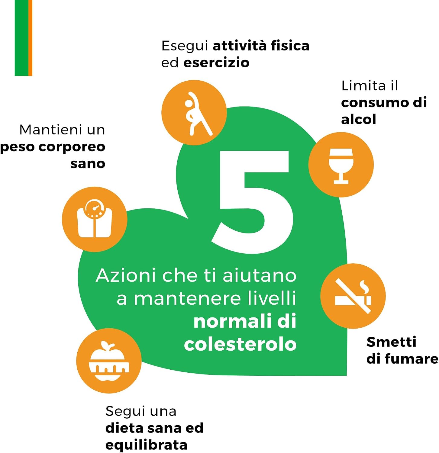 Detalle 2 de Armolipid Plus 30 compresse: integratore per supporto lipidi, omocisteina e benessere cardiovascolare