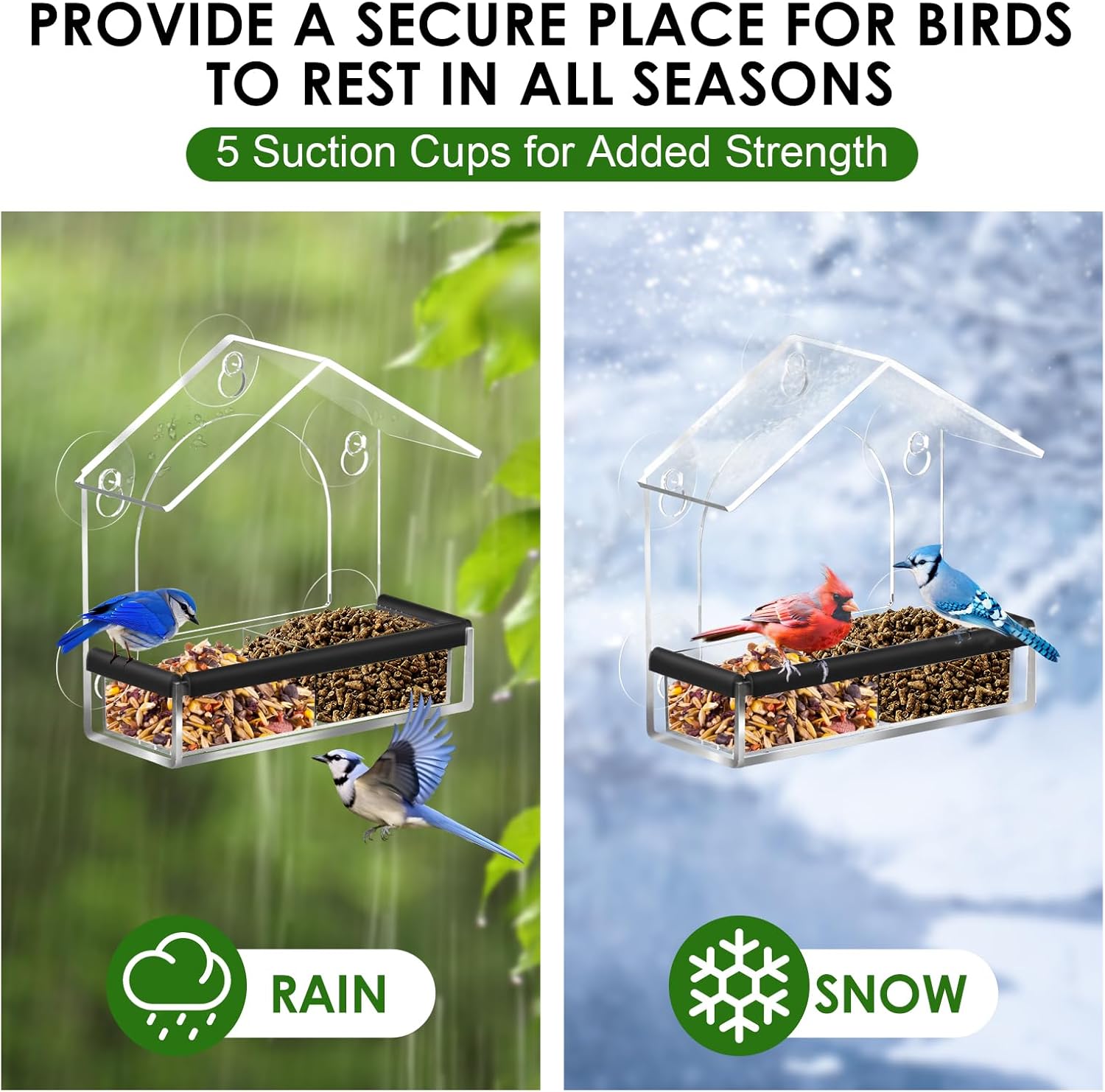 Detalle 2 de LIANGPIN Clear Window Bird Feeder with 5 Strong Suction Cups (Acrylic, removable tray)