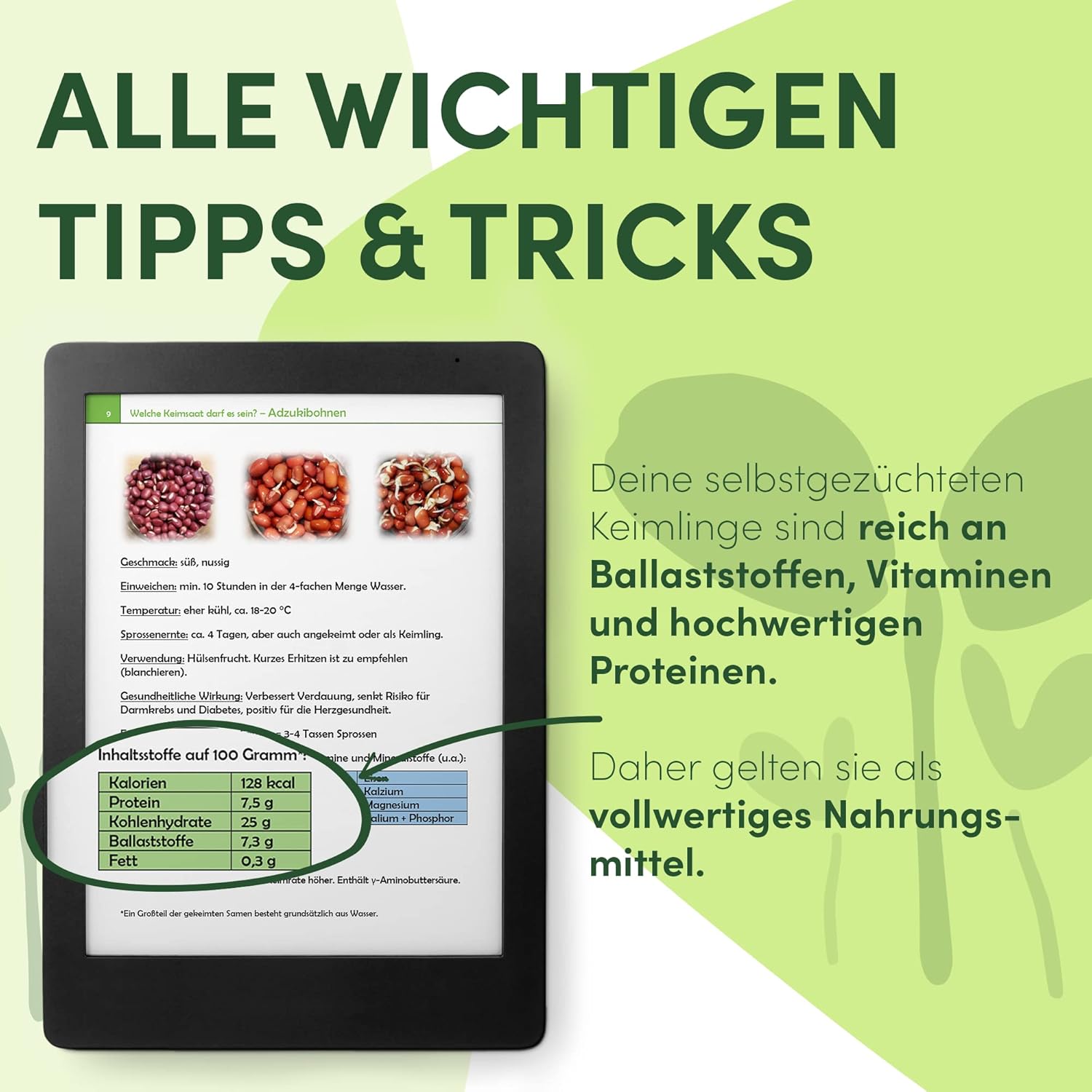 Thumbnail 5 de Green SEEDS Probierset 10er 🌱