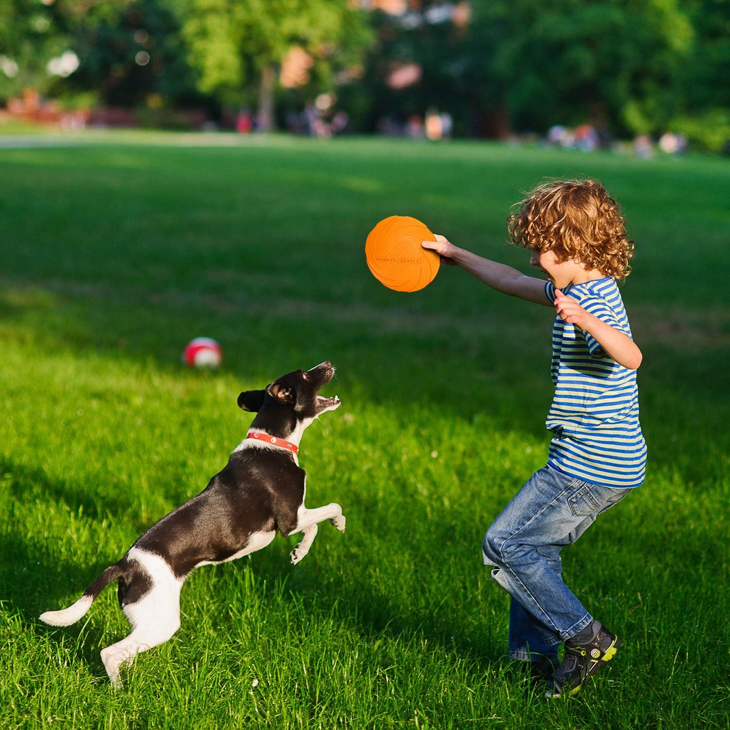 Thumbnail 6 de Vivifying Hundefrisbee aus natürlichem Kautschuk (2er-Set) 15 cm – für Land & Wasser in Grün/Orange