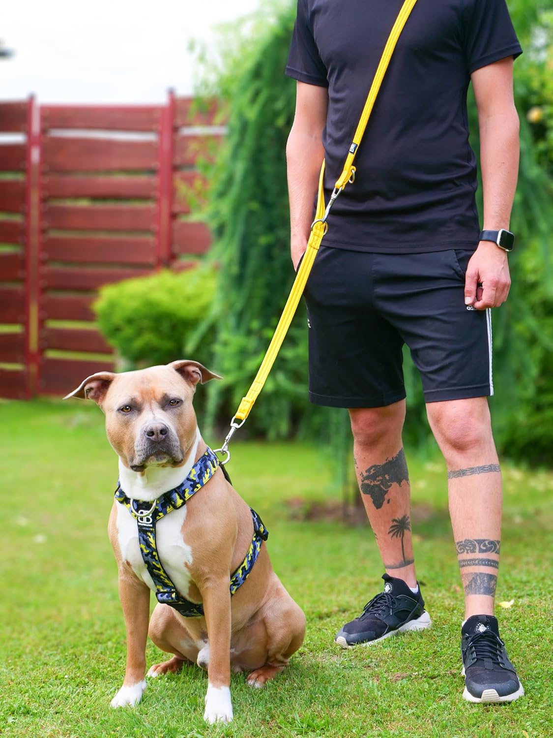 Thumbnail 3 de BullyBillows Double Ended Dog Lead (Khaki) for obedience and distance training