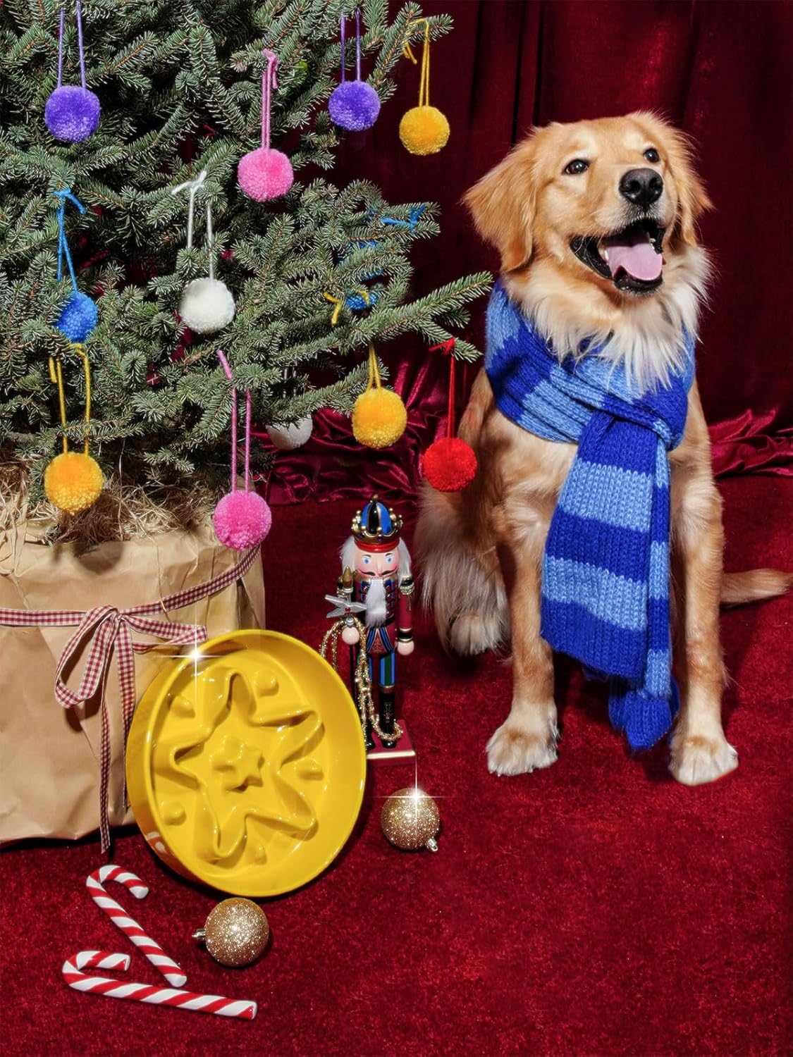 Thumbnail 1 de LE TAUCI Gamelle en céramique à alimentation lente M-675 ML pour petite et moyenne race