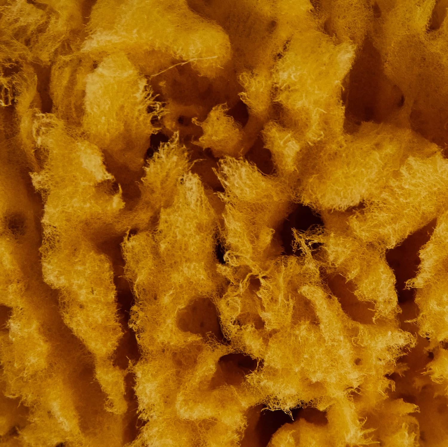 Detalle 2 de Croll & Denecke Naturschwamm P130 Premium – naturalna gąbka do kąpieli