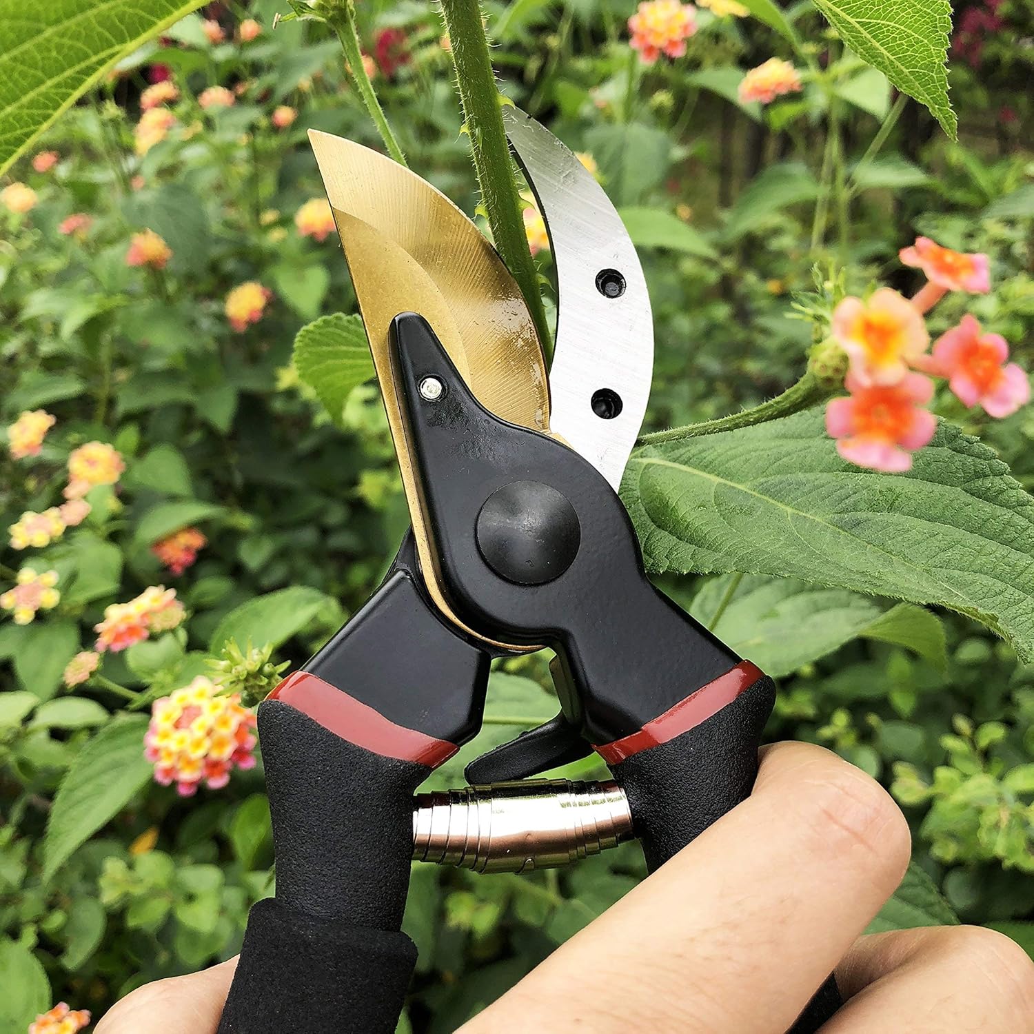 Thumbnail 5 de Gonicc GPPS-1003 tijeras podar 20 cm