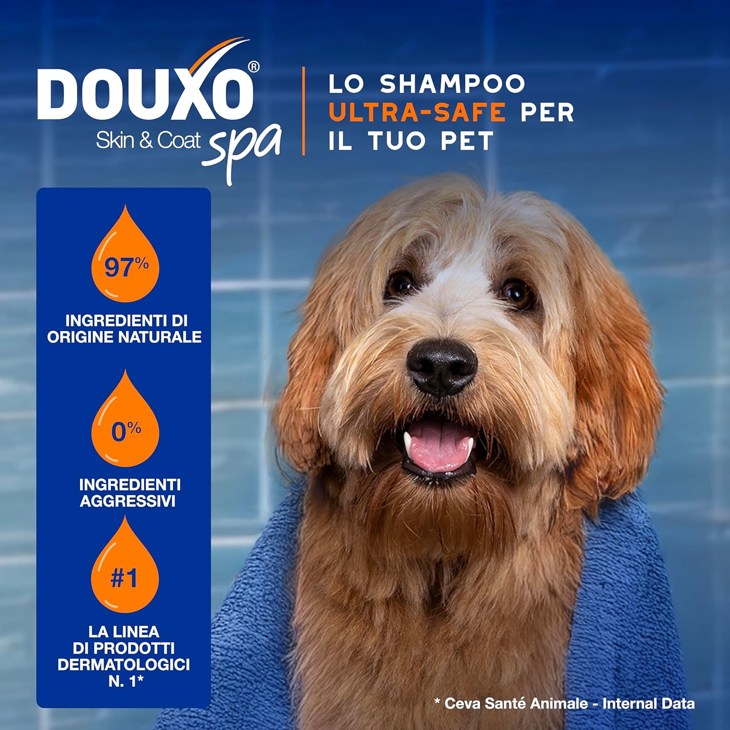 Detalle 2 de DOUXO Skin & Coat SPA shampoo 2 in 1
