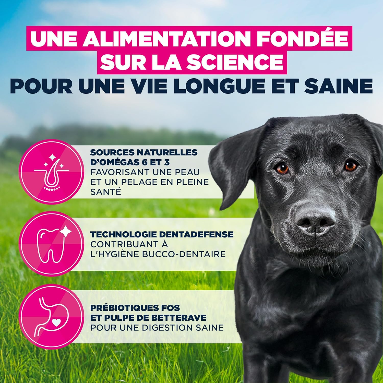Detalle 2 de EUKANUBA Life Care Croquettes Chien Adulte Grande Race 18 Mois à 6 Ans – Poulet frais, Oméga 3&6 et DentaDefense