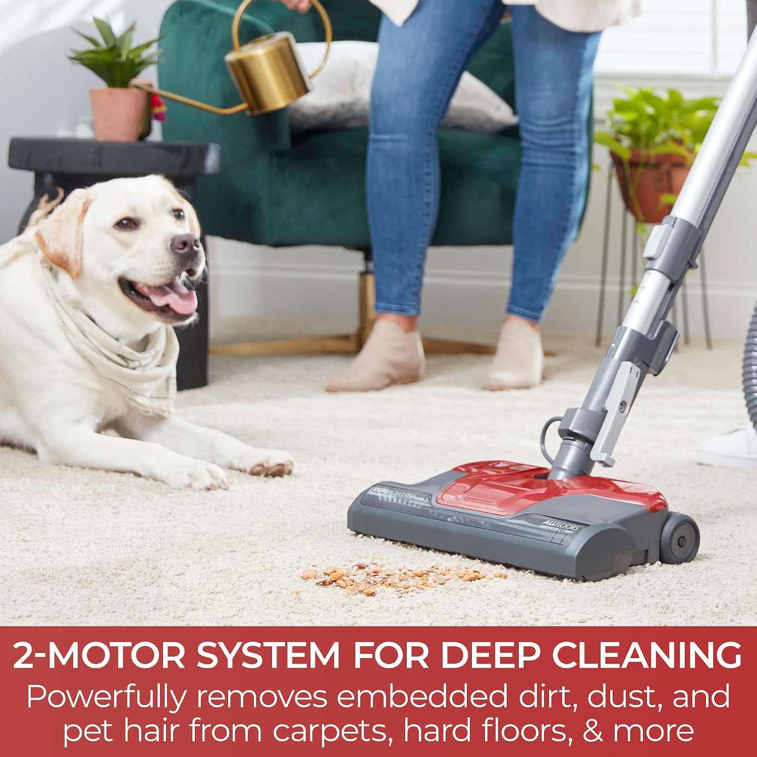 Thumbnail 1 de Kenmore 81414 Canister Vacuum with Telescoping Wand