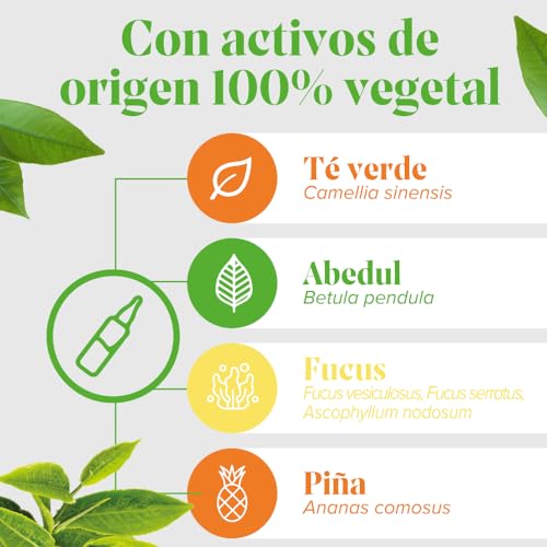 Detalle 2 de Arkopharma Arkofluido Quemagrasa Bio 20 Ampollas: control de peso y saciedad con extracción UltraExtract